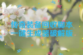 传奇装备回收脚本一键生成器破解版