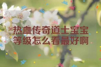 热血传奇道士宝宝等级怎么看最好啊