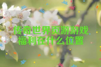 传奇世界页游游戏福利在什么位置