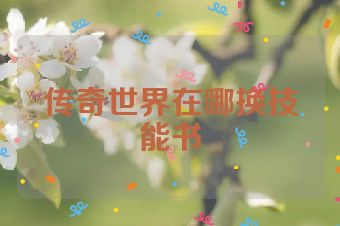 传奇世界在哪换技能书