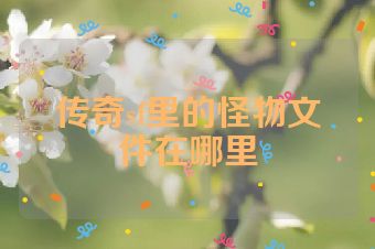 传奇sf里的怪物文件在哪里