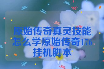 原始传奇真灵技能怎么学原始传奇176挂机脚本