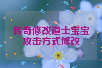传奇修改道士宝宝攻击方式修改