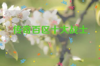 传奇百区十大战士