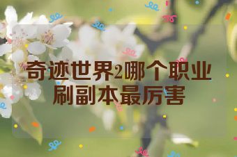 奇迹世界2哪个职业刷副本最厉害