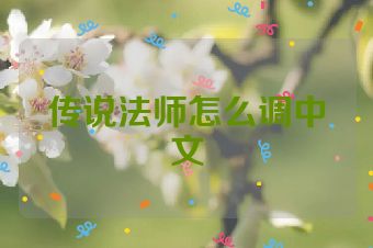 传说法师怎么调中文