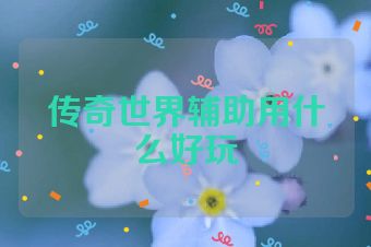传奇世界辅助用什么好玩
