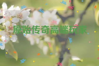 原始传奇高端玩家