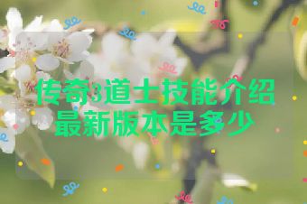 传奇3道士技能介绍最新版本是多少