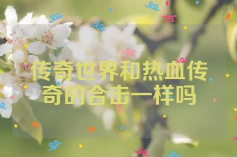 传奇世界和热血传奇的合击一样吗