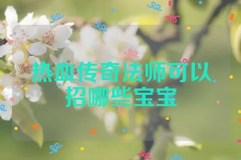 热血传奇法师可以招哪些宝宝
