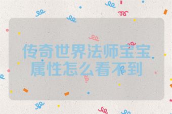 传奇世界法师宝宝属性怎么看不到