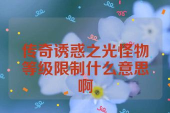 传奇诱惑之光怪物等级限制什么意思啊