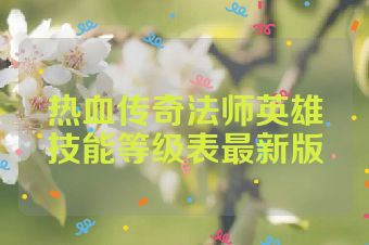 热血传奇法师英雄技能等级表最新版