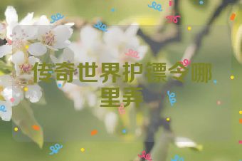 传奇世界护镖令哪里弄
