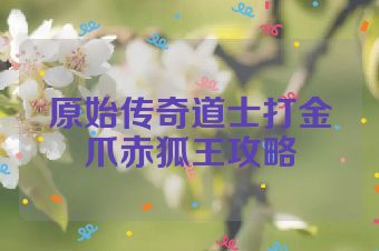 原始传奇道士打金爪赤狐王攻略