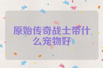 原始传奇战士带什么宠物好