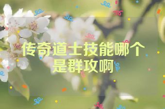 传奇道士技能哪个是群攻啊