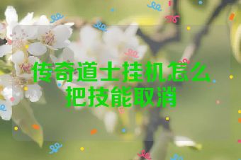 传奇道士挂机怎么把技能取消