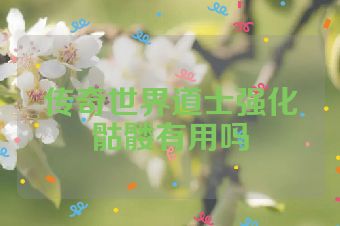 传奇世界道士强化骷髅有用吗