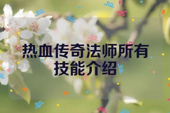热血传奇法师所有技能介绍