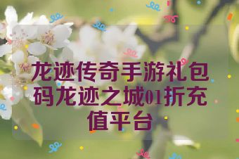 龙迹传奇手游礼包码龙迹之城01折充值平台