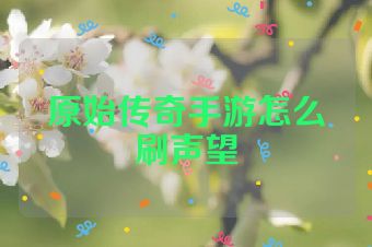 原始传奇手游怎么刷声望