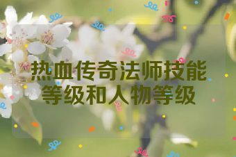 热血传奇法师技能等级和人物等级