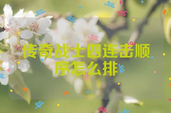 传奇战士四连击顺序怎么排