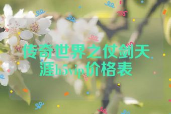 传奇世界之仗剑天涯h5vip价格表