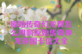 原始传奇幻龙骨怎么用啊原始传奇神龙帝国卡位大全