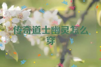 传奇道士幽灵怎么穿