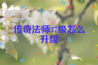 传奇法师37级怎么升级