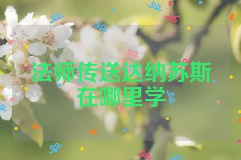 法师传送达纳苏斯在哪里学