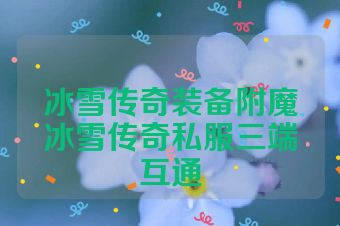 冰雪传奇装备附魔冰雪传奇私服三端互通