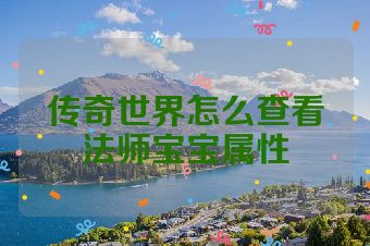 传奇世界怎么查看法师宝宝属性