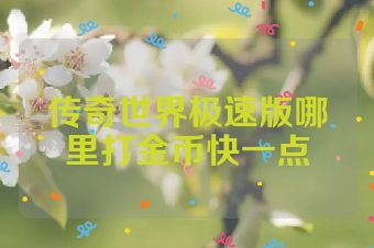 传奇世界极速版哪里打金币快一点