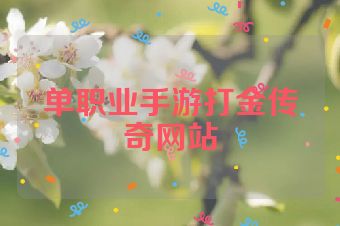 单职业手游打金传奇网站