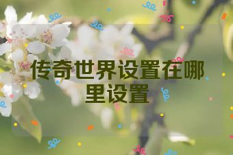 传奇世界设置在哪里设置
