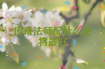 传奇法师配什么主将最好