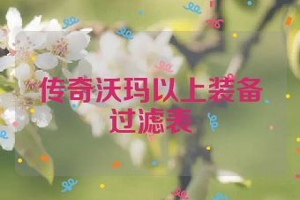 传奇沃玛以上装备过滤表