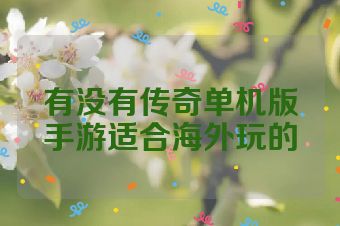 有没有传奇单机版手游适合海外玩的