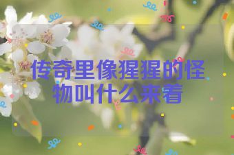 传奇里像猩猩的怪物叫什么来着