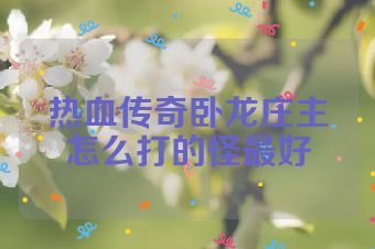 热血传奇卧龙庄主怎么打的怪最好
