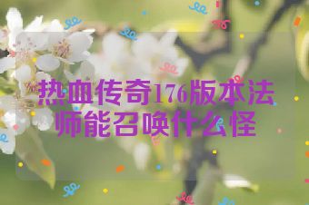 热血传奇176版本法师能召唤什么怪