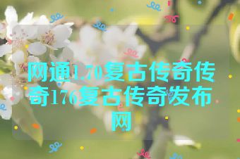 网通1.70复古传奇传奇176复古传奇发布网