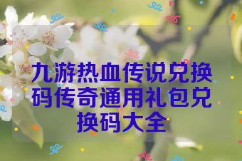 九游热血传说兑换码传奇通用礼包兑换码大全
