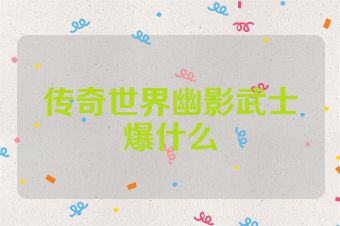传奇世界幽影武士爆什么