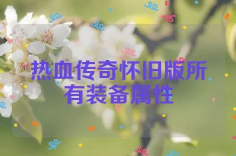 热血传奇怀旧版所有装备属性