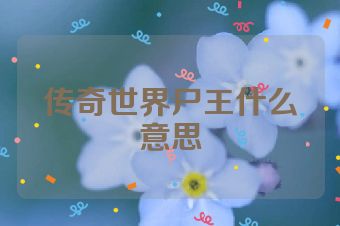 传奇世界尸王什么意思